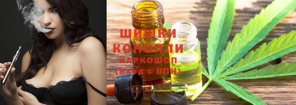 крисы Горняк