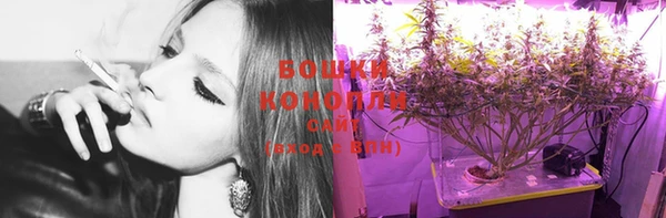 крисы Горняк