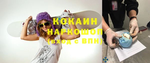 крисы Горняк