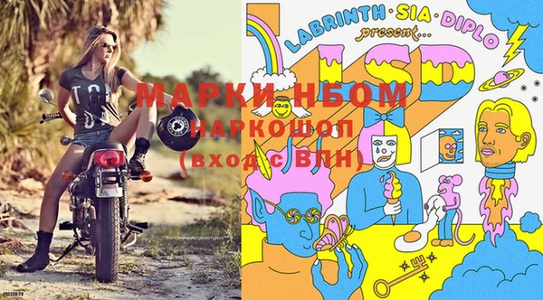 СК Горнозаводск