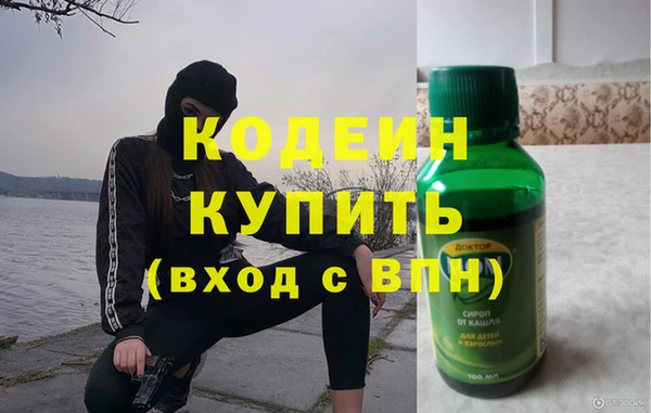 PSILOCYBIN Гусь-Хрустальный